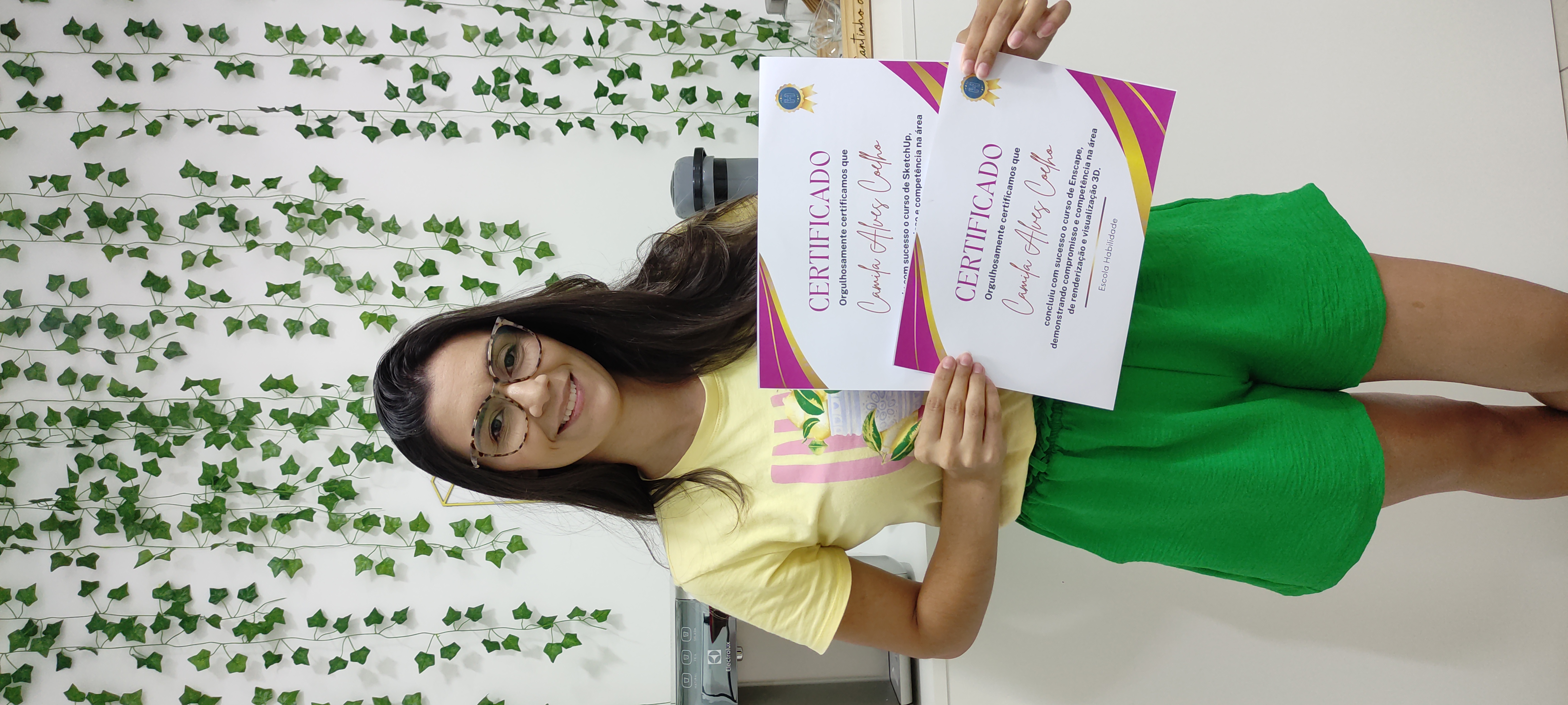 Conquista Profissional Conquista Profissional